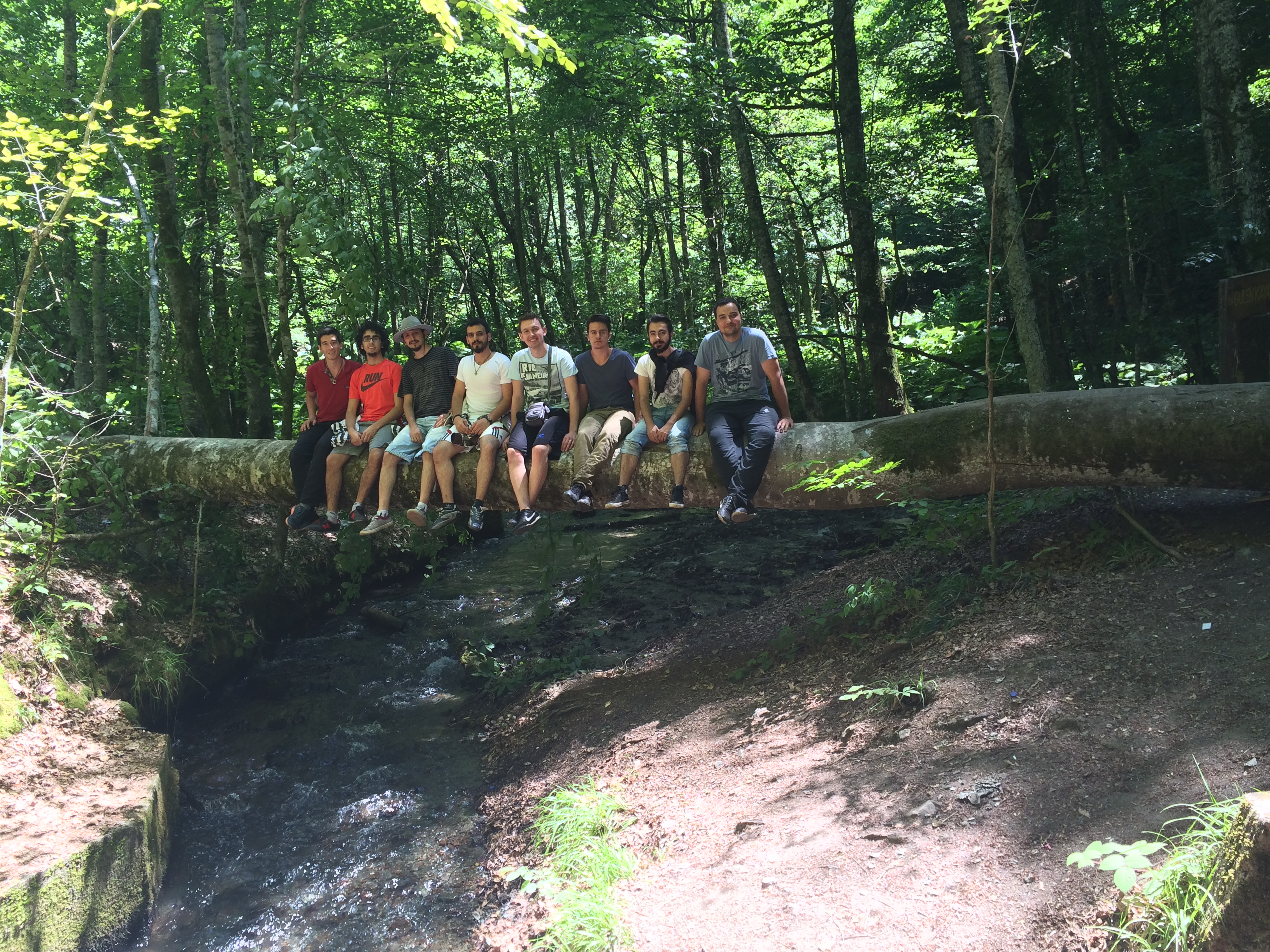 Yedigöller National Park, Bolu